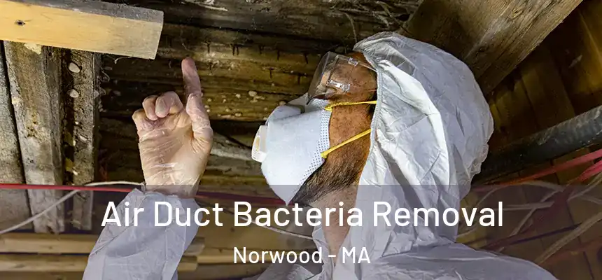  Air Duct Bacteria Removal Norwood - MA