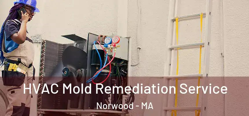  HVAC Mold Remediation Service Norwood - MA