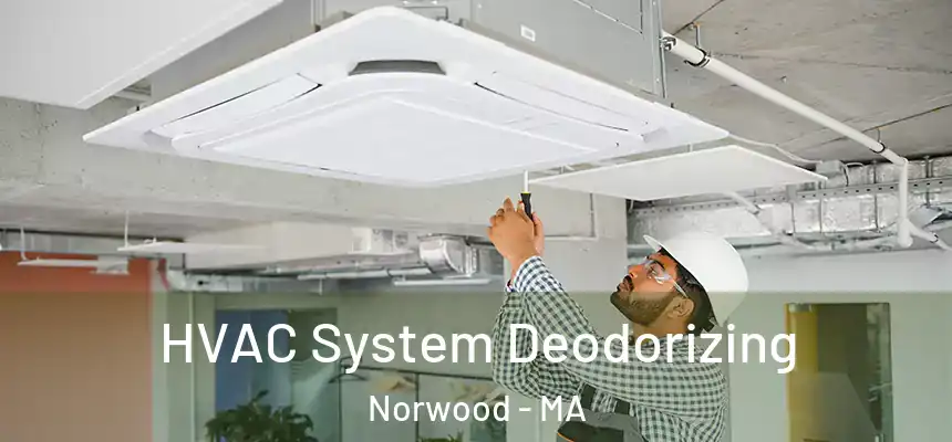 HVAC System Deodorizing Norwood - MA