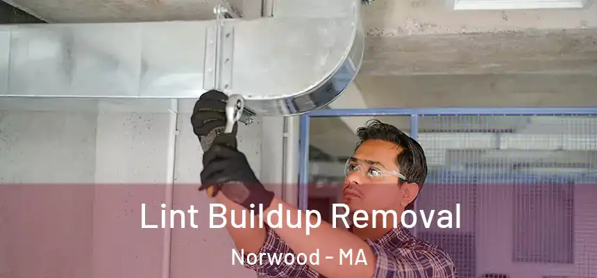  Lint Buildup Removal Norwood - MA