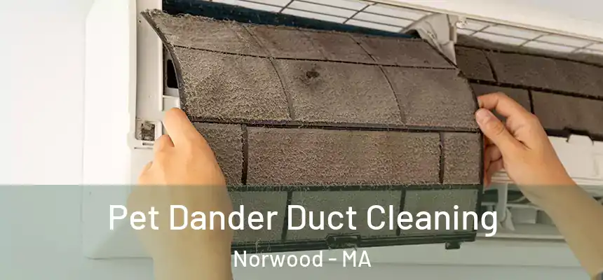 Pet Dander Duct Cleaning Norwood - MA