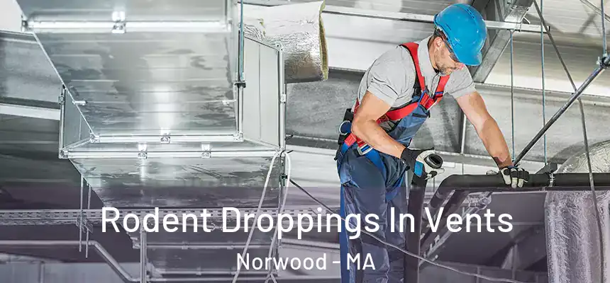 Rodent Droppings In Vents Norwood - MA