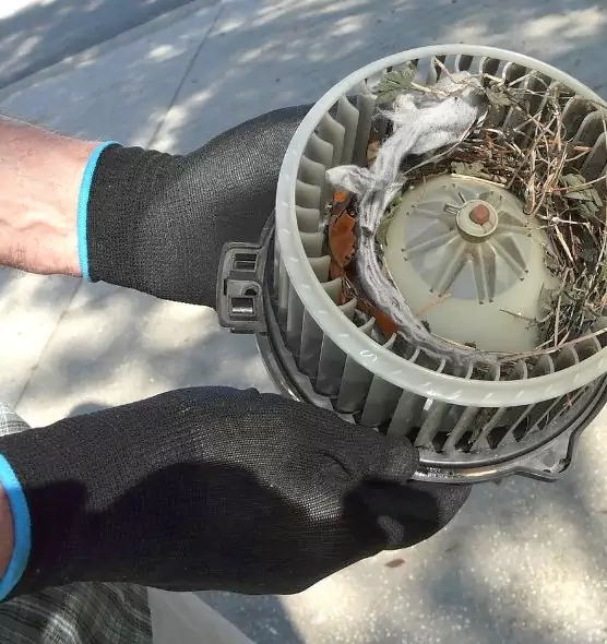 About Air Duct Mice Removal in Norwood, MA