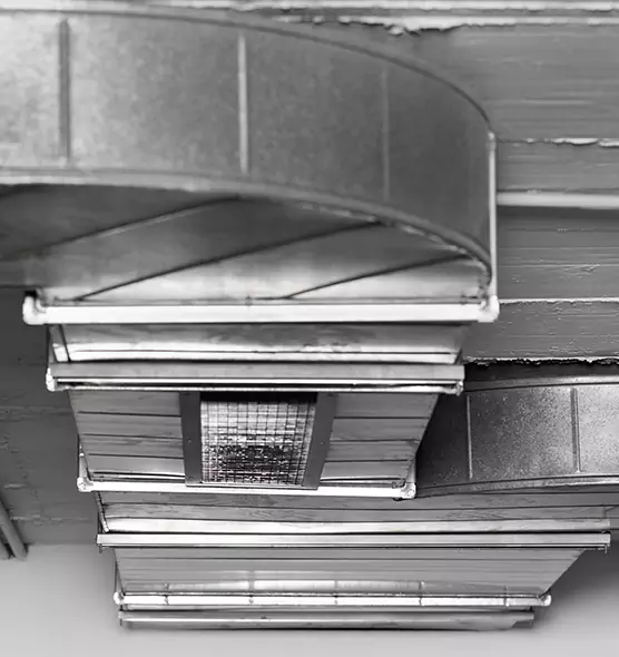 Professional Air Duct Pest Removal in Norwood, MA