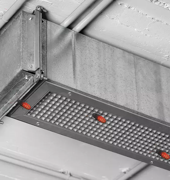 Affordable Insect Removal from Air Ducts in Norwood, MA