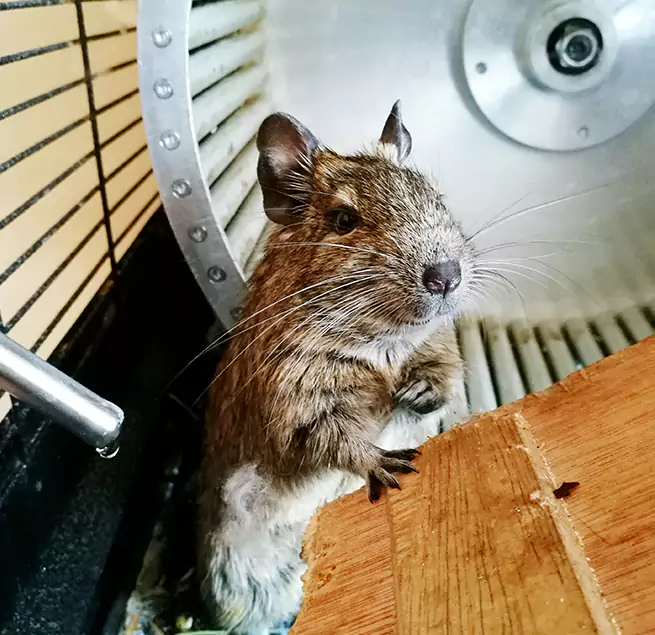 Why Homeowners & Businesses Trust Us Norwood, MA?