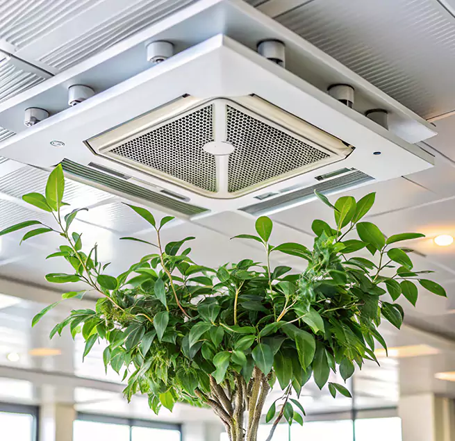 Why Homeowners & Businesses Trust Us in Norwood, MA?