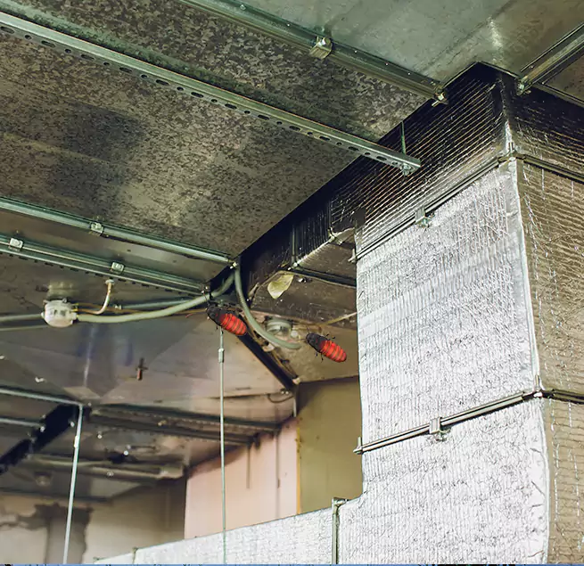 Why Homeowners & Businesses Trust Us Norwood, MA?